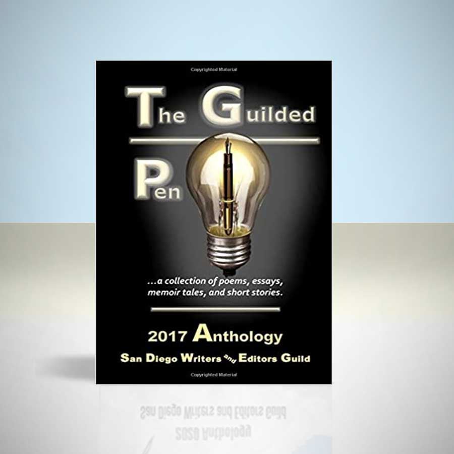 front cover of 2017 anthology